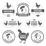 Chicken meat and eggs 1