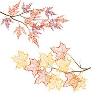 Autumn Branches N8