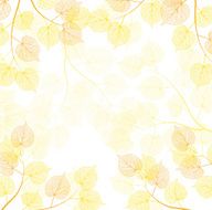 Autumn frames
