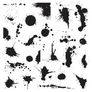 Set of blots N2