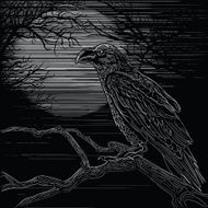 Raven N7