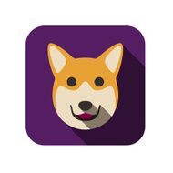 Wels Cogi Pembroke dog face flat design