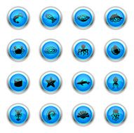 Blue Icons - Seafood