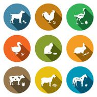 Pets flat icon collection