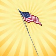 Sunny American Flag N2