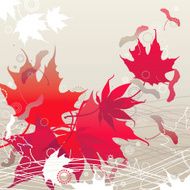 Red Maple Leaves N3