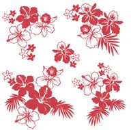 picture of Hibiscus N46