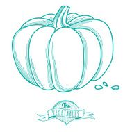 Outline hand drawn sketch of pumkin (flat style thin line)