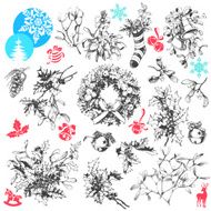 Christmas plants