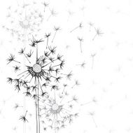 Dandelions Hand-drawn floral background