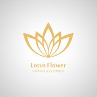 lotus symbol icon N2
