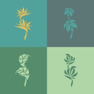 Tropical plants Set of design elements