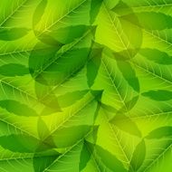 Seamless pattern with green leaves Vector illustration N2