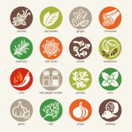 Colorful web icon set - spices condiments and herbs