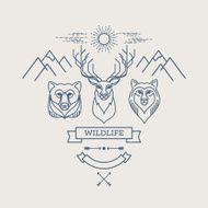 Wild animals Flat line illustration N6