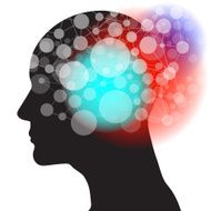 Thought Network N3