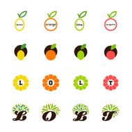Lemon orange lime tangerine grapefruit Set of design elements