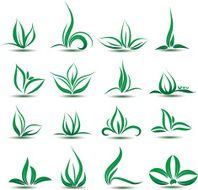 Leaves and grass