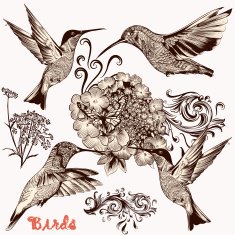 Collection of vector hand drawn birds for design