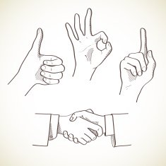 Set of hands Vector illustration