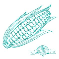 Outline hand drawn sketch of corncob (flat style thin line)