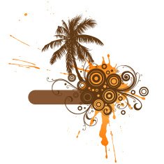 palm N8