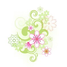 spring flowers N40