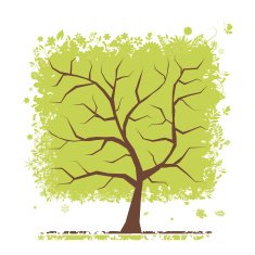 Four seasons - spring summer autumn winter Art tree
