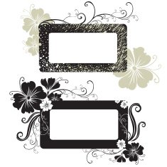 Two Vector Floral vintage frame