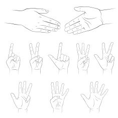Hands Vector set Isolated on white background