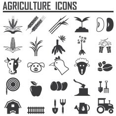 Agriculture Icons N10