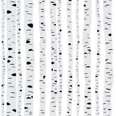 Birches in vector N6