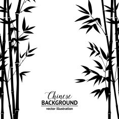 Bamboo bush over white
