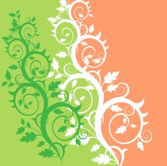 Floral background N1324