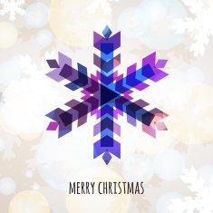Abstract colorful vector snowflake with winter background N2