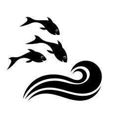 Fish jumping N2