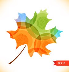 Vector multicolor maple leaf Autumn symbol