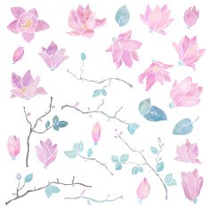 Hand painted magnolia flowers set