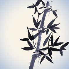 Bamboo hand drawn background Chinese painting N2