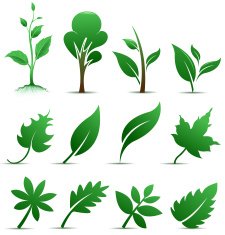 Nature Symbols N3