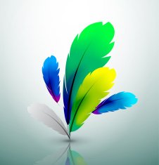 Abstract creative feather background