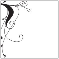 Design Scroll 01