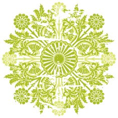 Abstract Grunge Floral Background N21