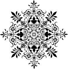 Ornamental design N2