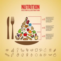 Nutrition Design N11