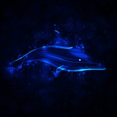 Neon dolphin N3