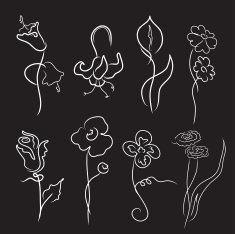 flowers Design Set N5
