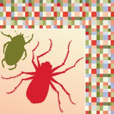 Insects (vector)