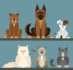 Puppy set - flat design N2