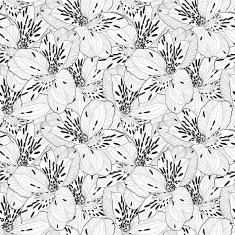 beautiful black and white seamless pattern in alstroemeria with contours N2